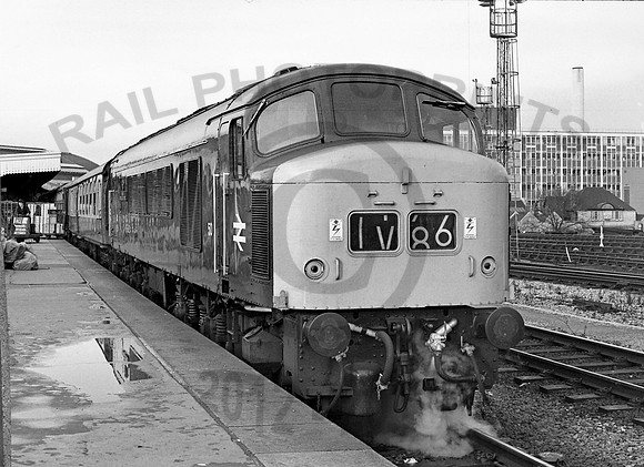 50 Bristol TM 1272 NP780