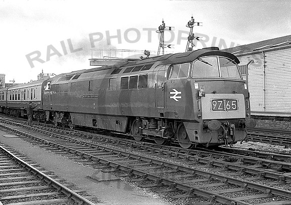 D1036-Y-Exeter-0369-RPC066