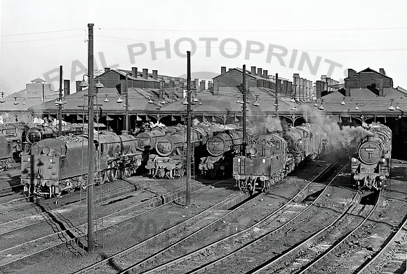 Wiilesden  100664  HB64M373R