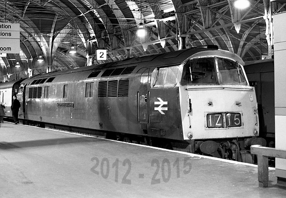 D1009 Paddington 1272 NP783