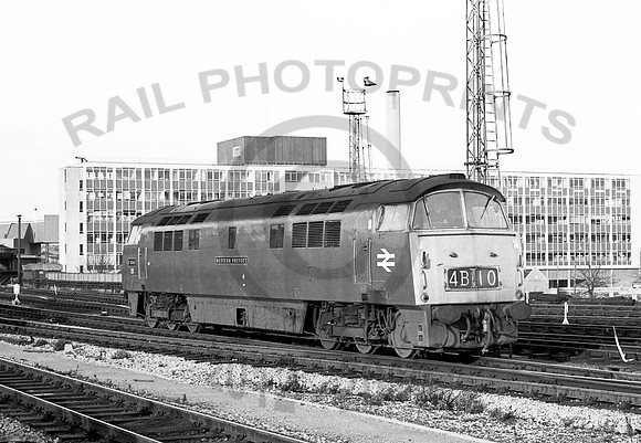 D1066 Bristol TM 0273  NP839