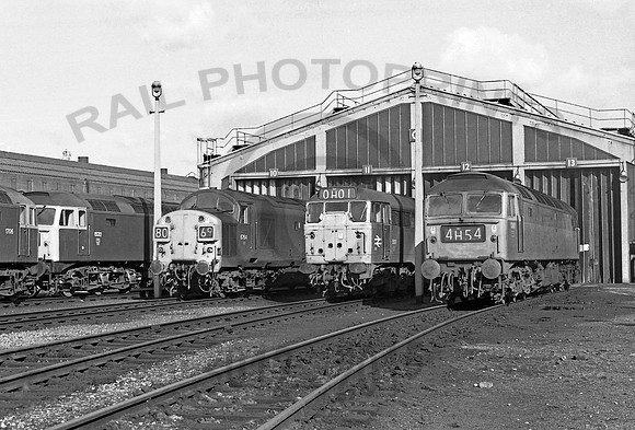 Stratford 240273  NP859