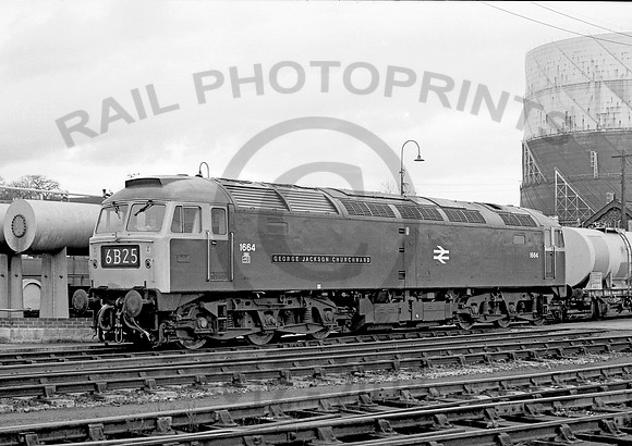 1664 Gloucester 0273  NP842