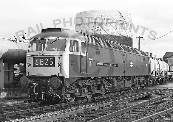 1664 Gloucester 0273  NP843