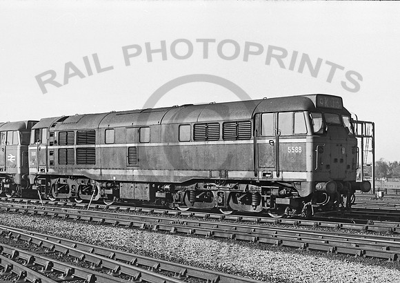 5588 York SP 210372  NP806-1