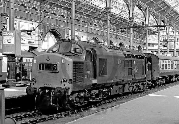 6961 Liverpool Street 240273  NP853