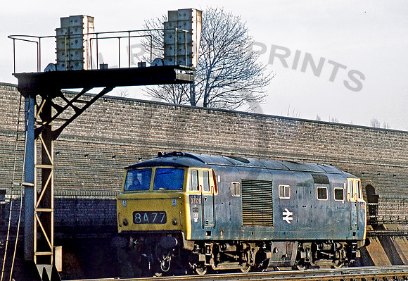 7026-Y-LadbrokeGrove-0374-RPC311