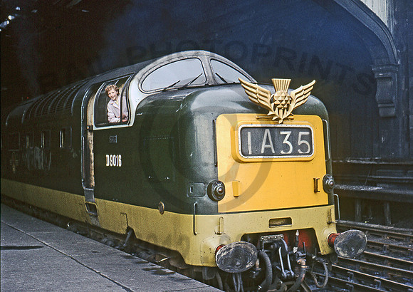 D9016-Y-Newcastle-0863-CW063