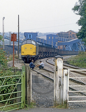 37162-Oakdale-250883-JC696