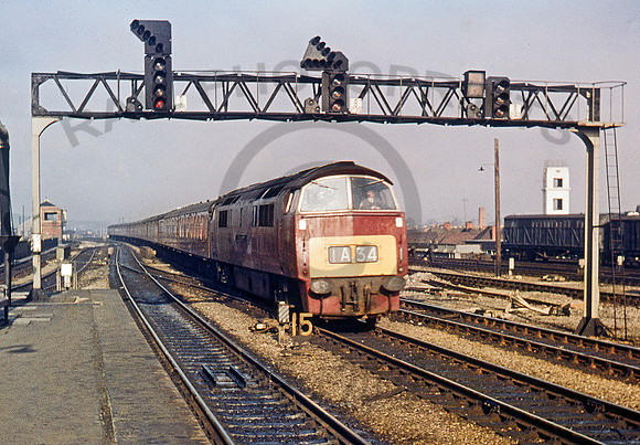 D1029-Y-Reading-310367-RL216