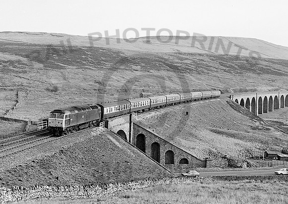 47219-Y-DandryMire-280484-HB601