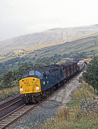 40096-DentHead-100981-RP651