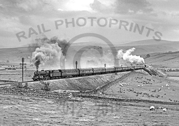 44902 Greenholme 250967 RPC910R