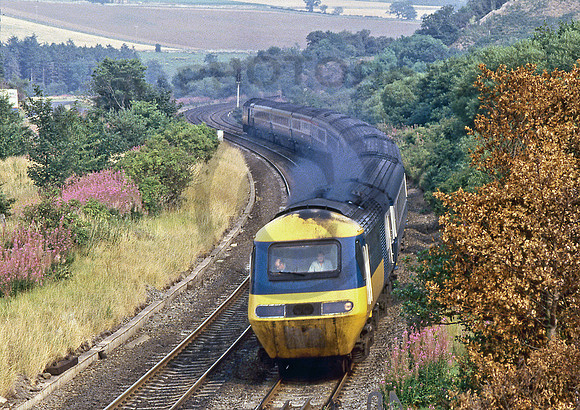43095 Grantshouse  220884  JD03