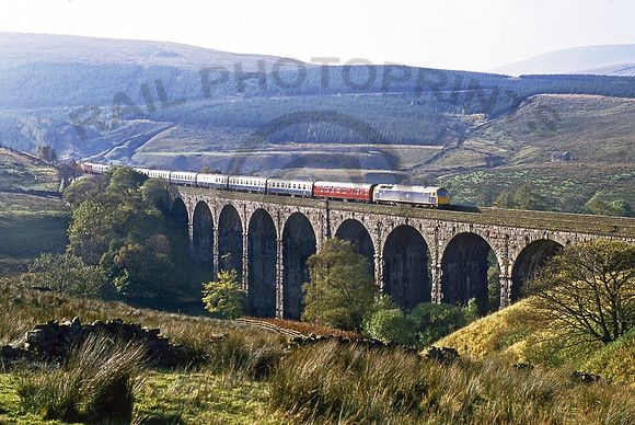 47130 Arten Gill  261085 BR033