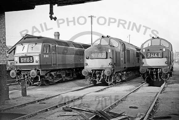 D1911-Y-Barry-300467-RP816