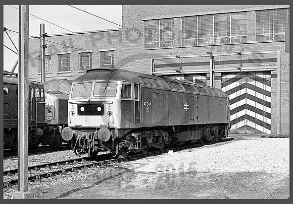 47344-Reddish-070480-JC913