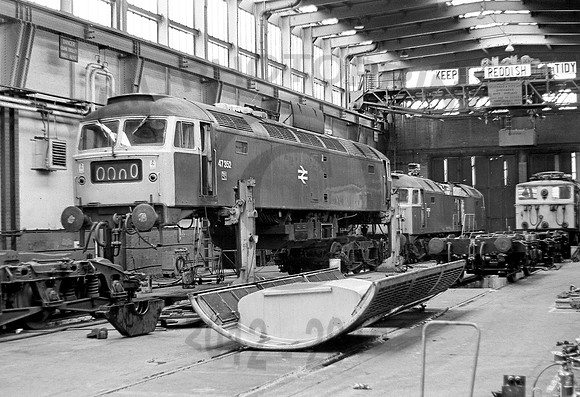 47352-Reddish-230778-JC452