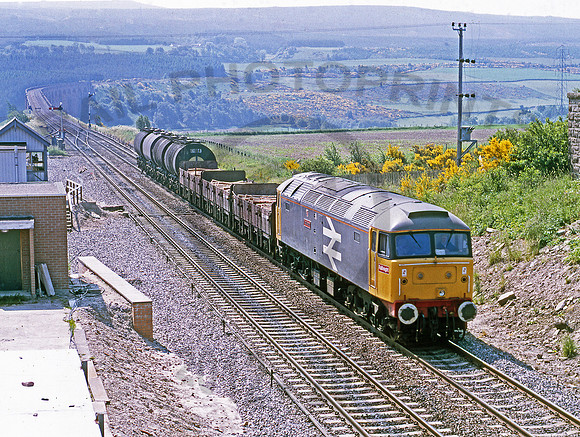 47379-Culloden-270686-JC330