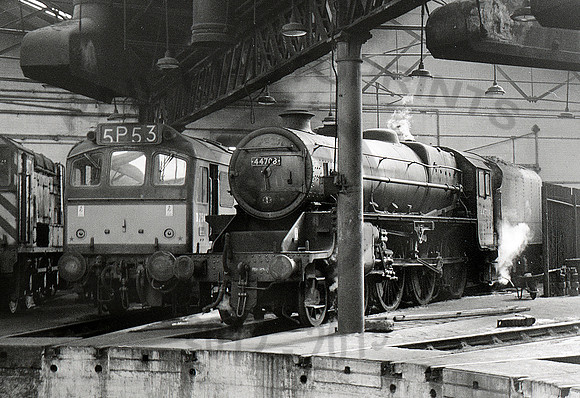44708-D7542-Y-Derby-1965-RPC429
