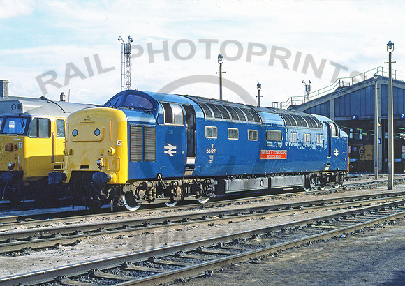 55021-Y-Stratford-110781-JC665