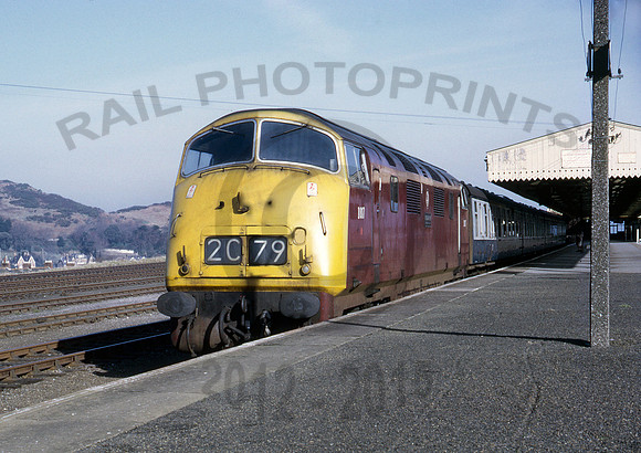 D817-Y-Ilfracombe-0369-RPC985
