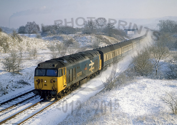 50008-Westbury-010285-JC230