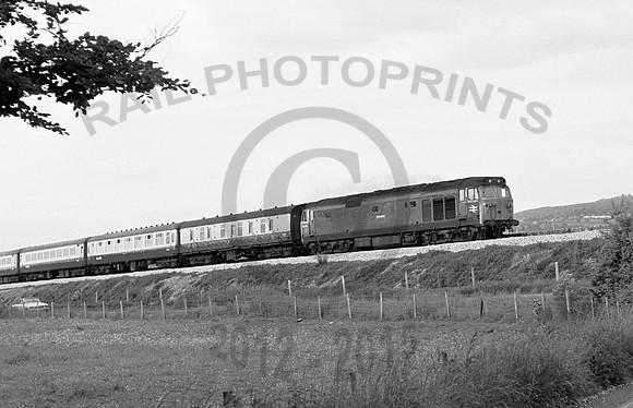 50018-Cockwood-100678-RP