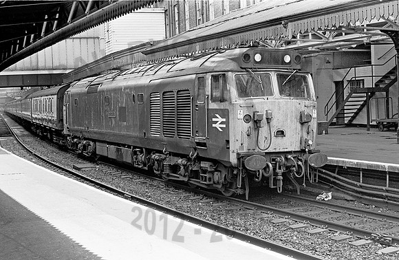 50025-Paddington-300678-JC