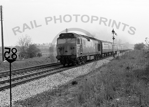 50050  (2) 200578