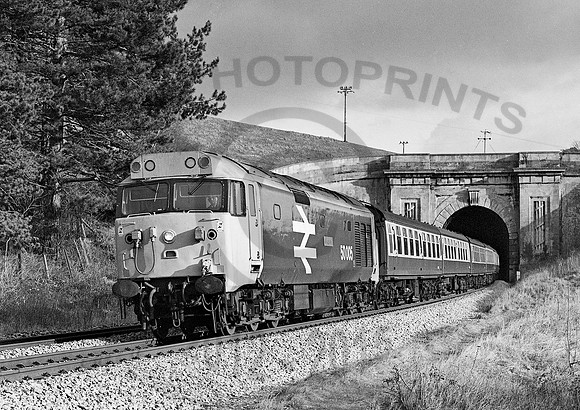 50005-Box-160183-JC788