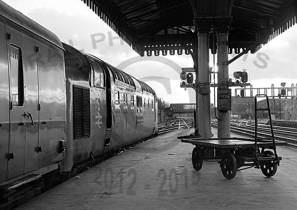 55011-York-040281-JC770