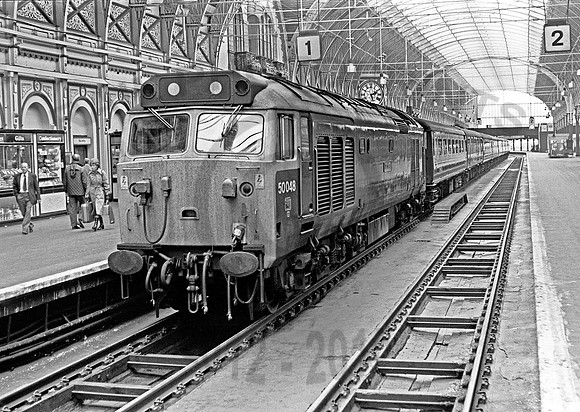 50048-Paddington-300678-JC2