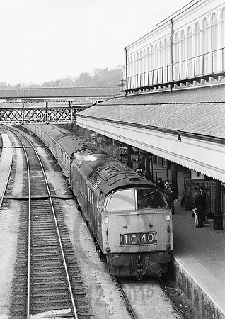 1052 Exeter St Davids  130371 JM319