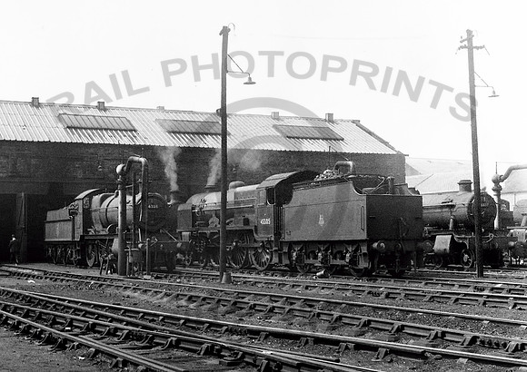 6308 - 45505-Y-Hereford-1956-RPC600