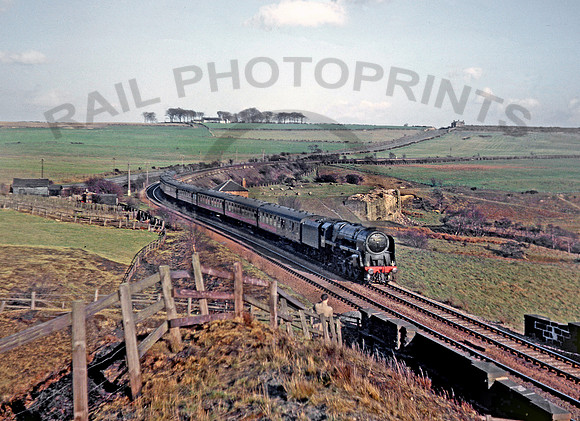 92097 Annfield Plain 100465 CD675
