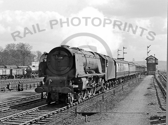 46239 Watford 1960 ABA012