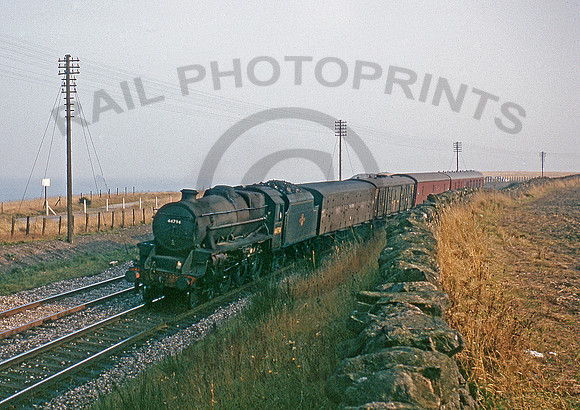44794-CoveBay-1065-BR596R