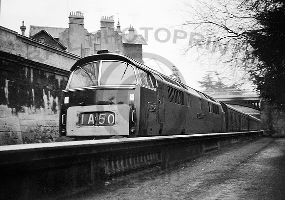 D1009-Bath-0364-JC379