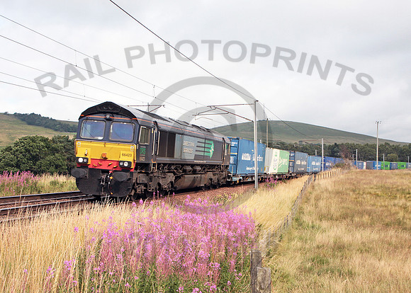 66423 Abington 140813 JC925