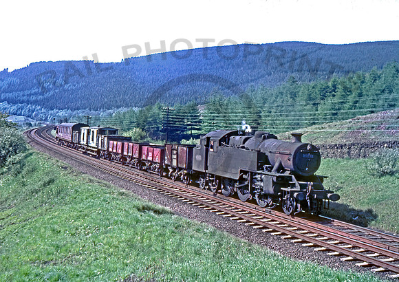 42693 Greskine 310566 HB512