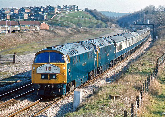 1023-Y-WesterleighEast-260277-DCC479