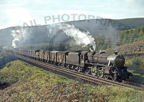 45122 Greskine 111063 HB590