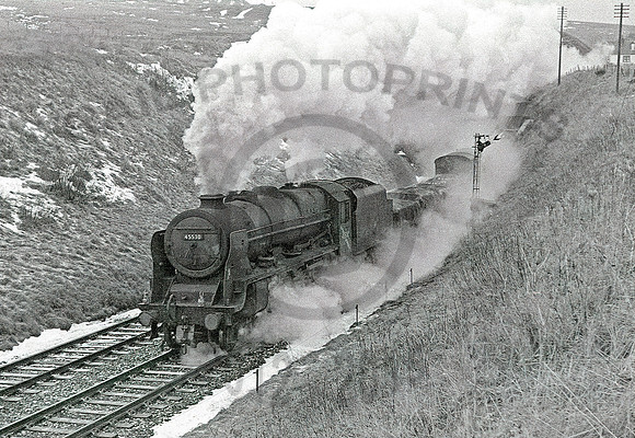 45530-Y-Whitrope-101265-BR693R