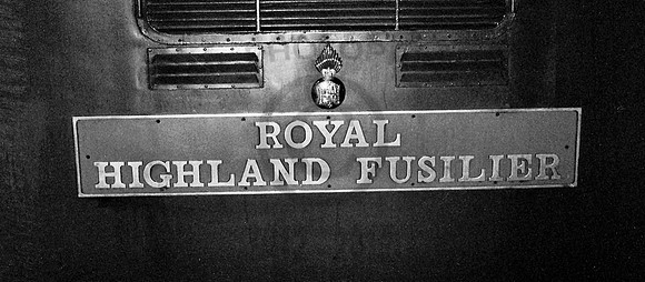 55019-Nameplate-191177-1-1