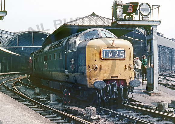 D9017-X-Newcastle-170767-RL186