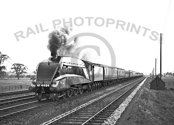 4486 Newsholme Thirsk CDC15