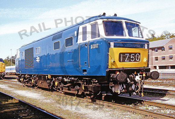 D7017-Y-Exeter-300494-RPC533