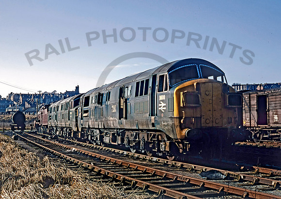 D600-Y-Barry-0270-DCC015
