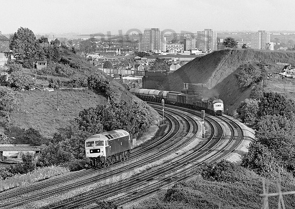 47596-Y-AshleyDown-020681-JC704